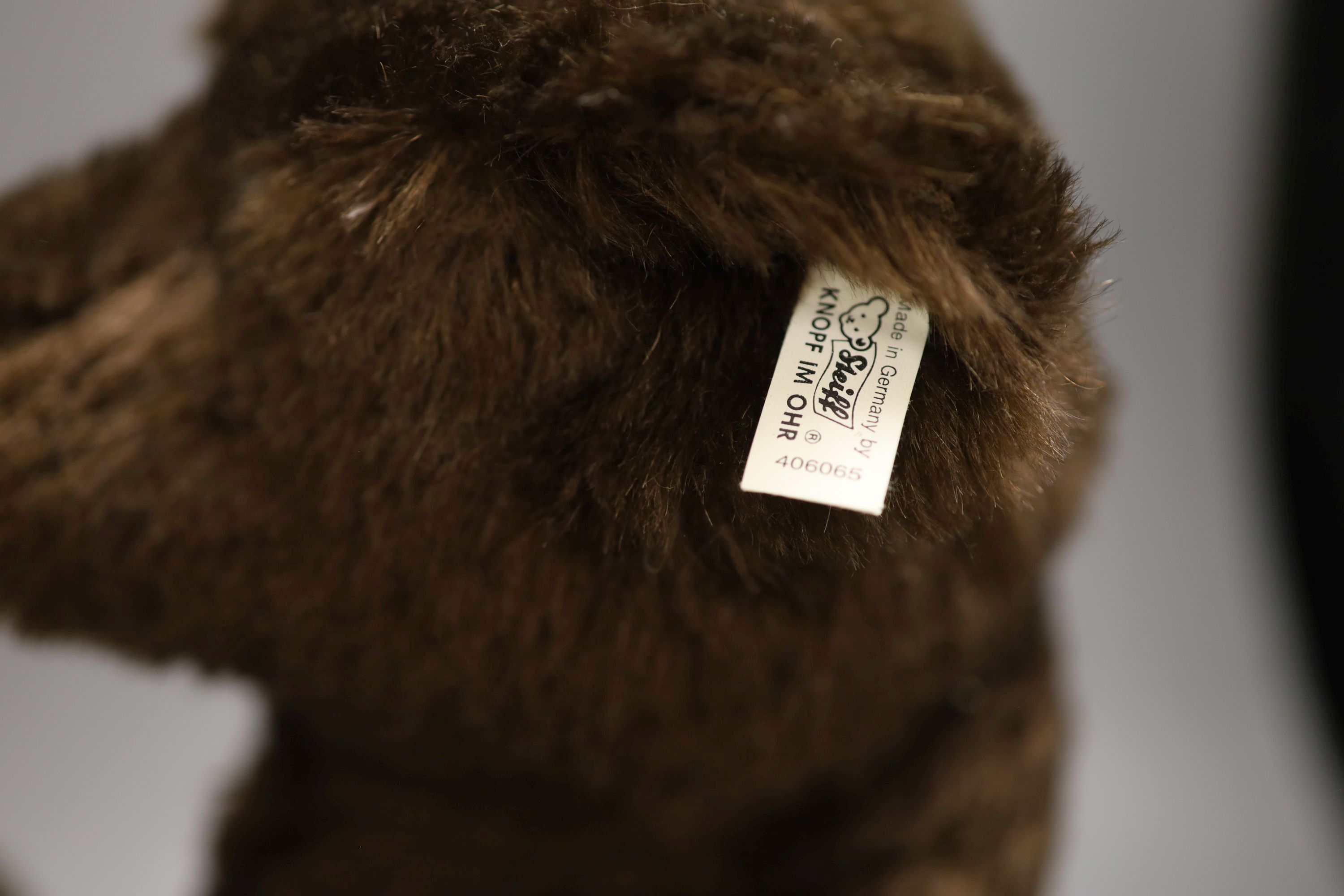 A Steiff 1907 collectors bear